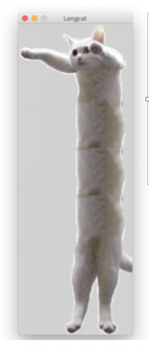 Longcat1.png